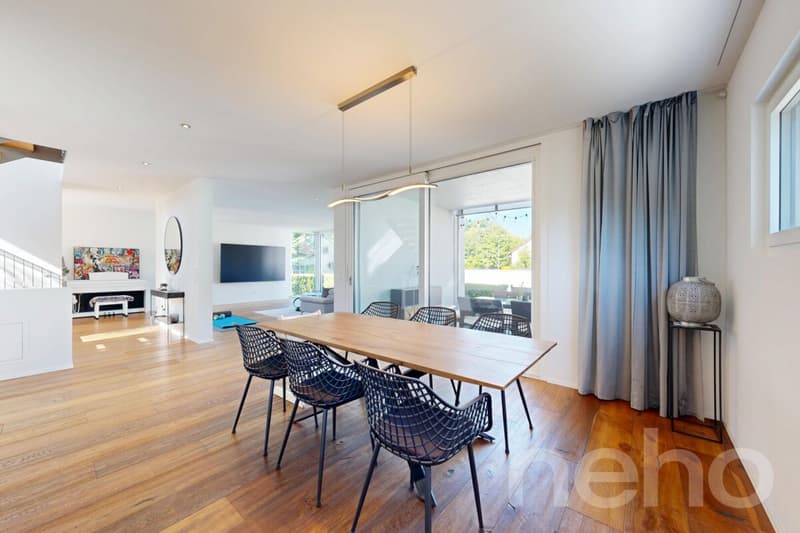 Modern detached single-family house with large garden in Dietikon (7)