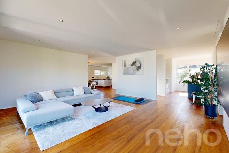 Modern detached single-family house with large garden in Dietikon (2)