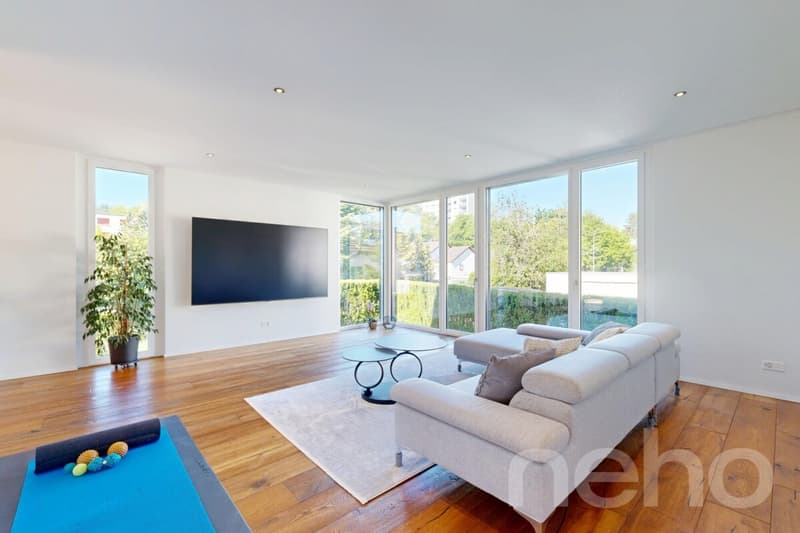 Modern detached single-family house with large garden in Dietikon (4)