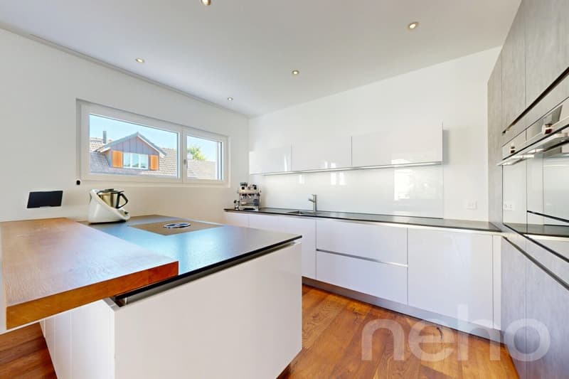 Modern detached single-family house with large garden in Dietikon (8)