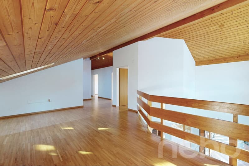 Grande maison unifamiliale avec jardin, véranda et beaucoup de potentiel (5)