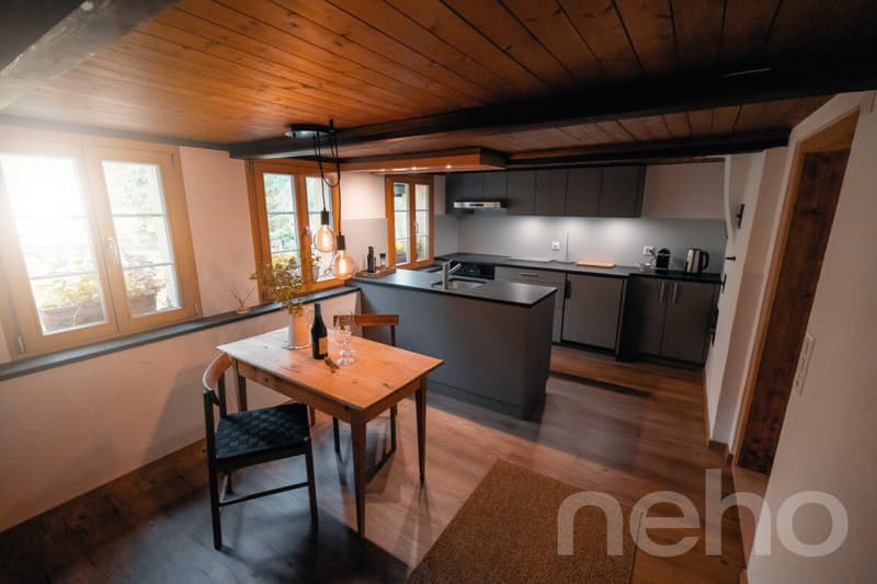 Historic Farmhouse with Holiday Apartment and Mountain Panorama (4)