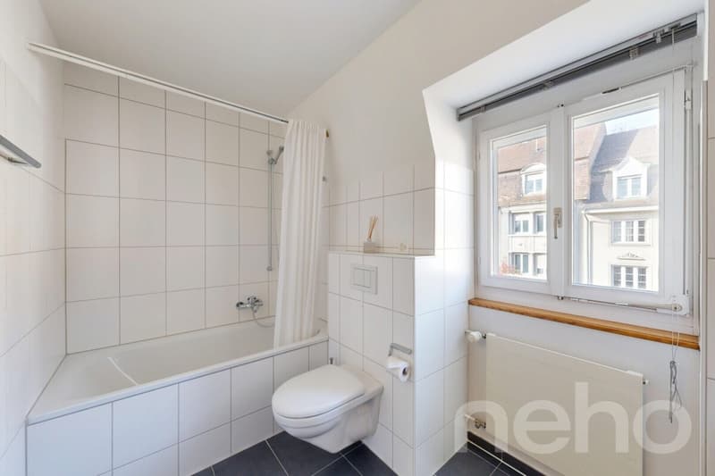 Casa della vecchia città ristrutturata in una posizione privilegiata (quartiere di Wettstein) (12)