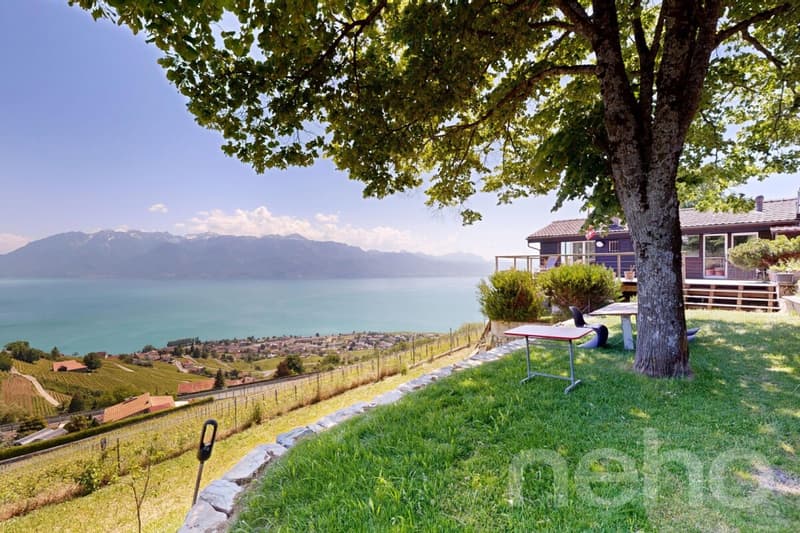 L'élégance d'un chalet entre lac, vignes et montagnes (3)