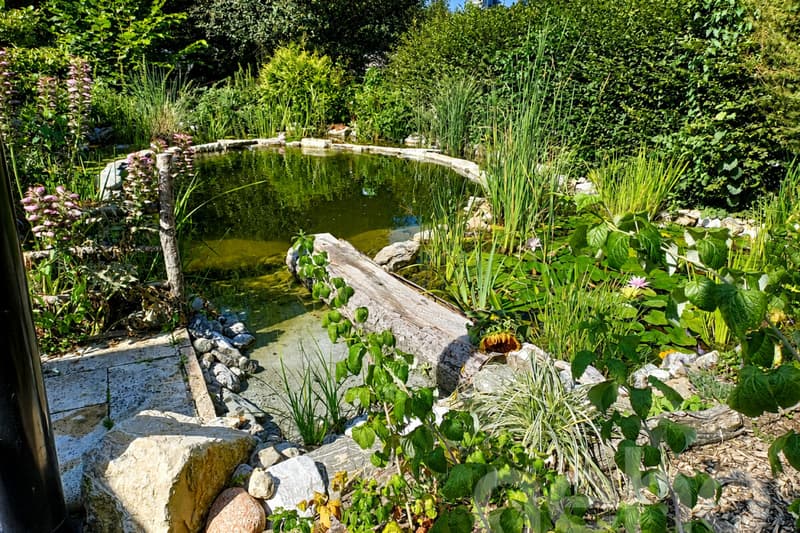 Zwischen Naturpark und Stadtzentrum: eine außergewöhnliche Oase in Lausanne (4)