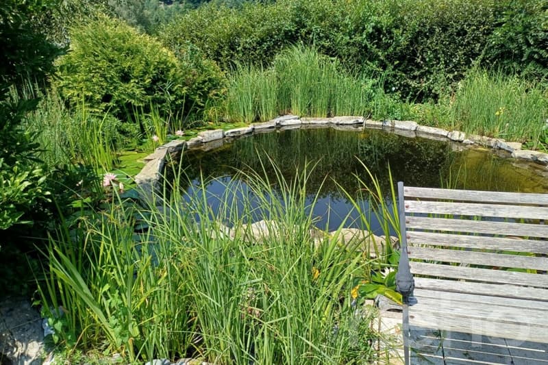 Zwischen Naturpark und Stadtzentrum: eine außergewöhnliche Oase in Lausanne (5)