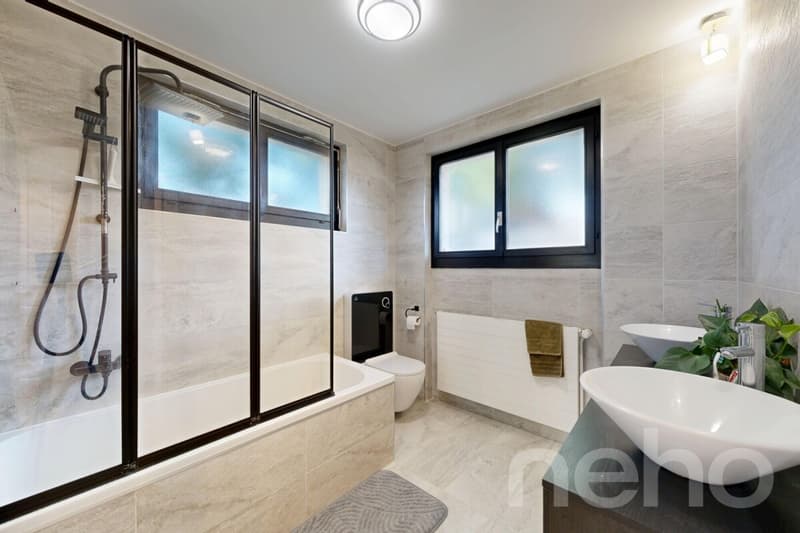 Magnifique maison individuelle rénovée (9)