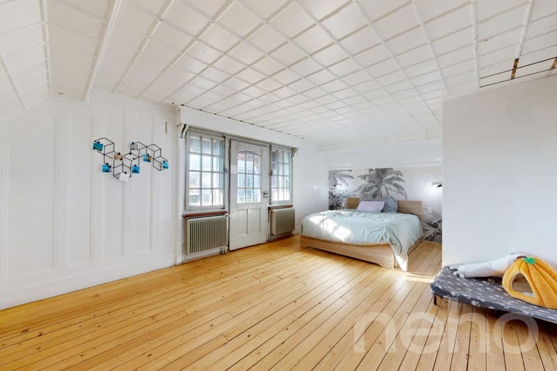 Magnifique maison individuelle rénovée (7)