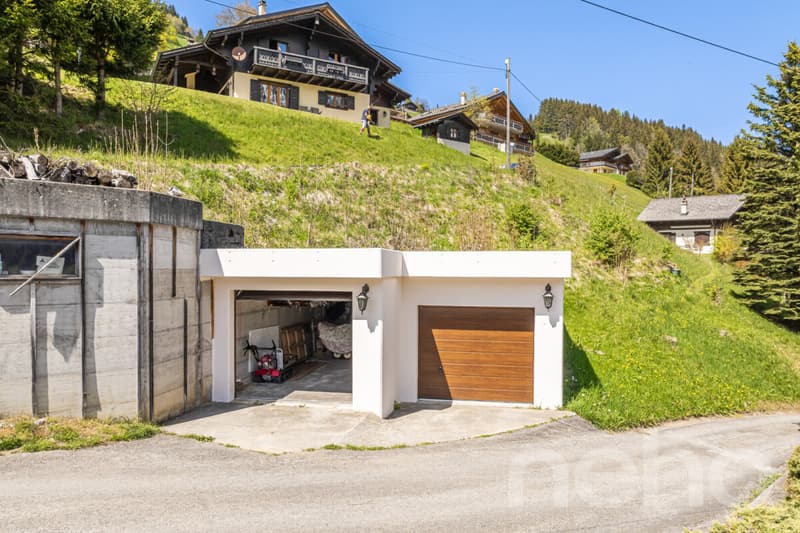 Exklusiv: Großes Chalet mit 2 Garagen auf einem 3255 m2 großen Grundstück (10)