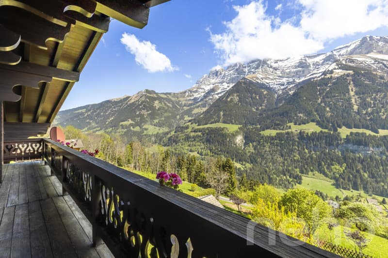 Exklusiv: Großes Chalet mit 2 Garagen auf einem 3255 m2 großen Grundstück (8)