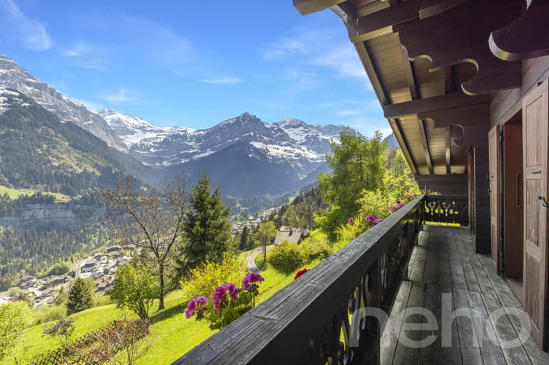 Exklusiv: Großes Chalet mit 2 Garagen auf einem 3255 m2 großen Grundstück (7)