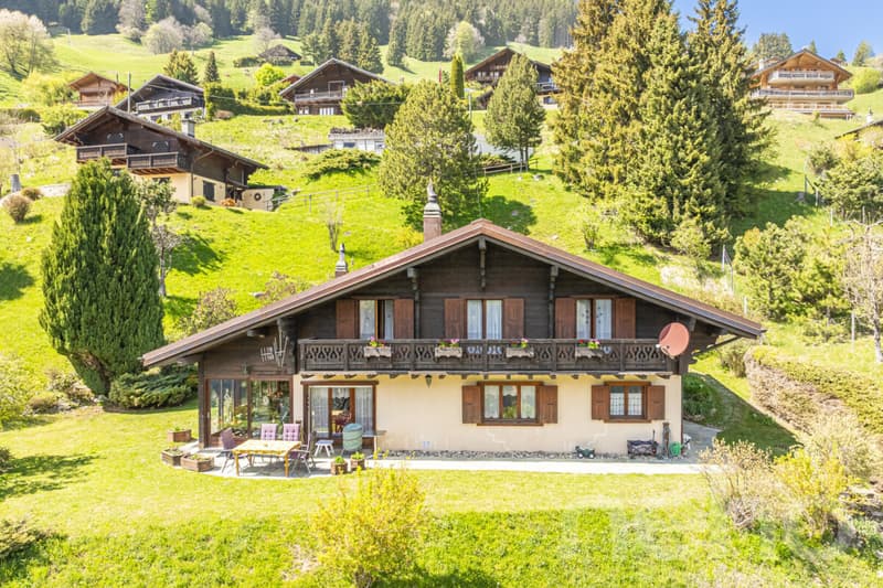 Exklusiv: Großes Chalet mit 2 Garagen auf einem 3255 m2 großen Grundstück (5)