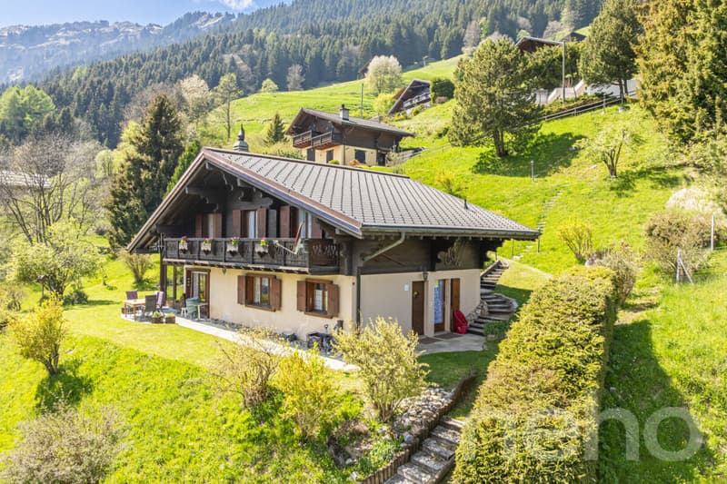Exklusiv: Großes Chalet mit 2 Garagen auf einem 3255 m2 großen Grundstück (3)