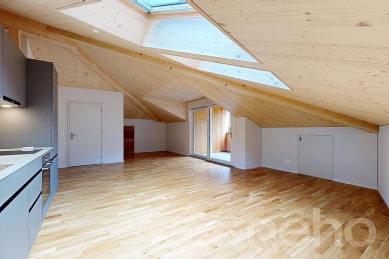Appartement en duplex de 2,5 pièces avec vue imprenable à Spiringen (4)