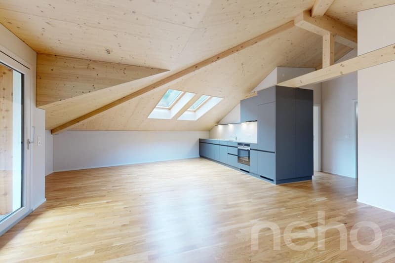 Appartement en duplex de 2,5 pièces avec vue imprenable à Spiringen (1)