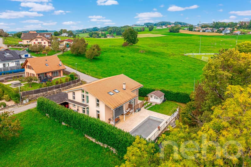 Exklusiv: Große Villa mit 3 Wohnungen und Swimmingpool (2)