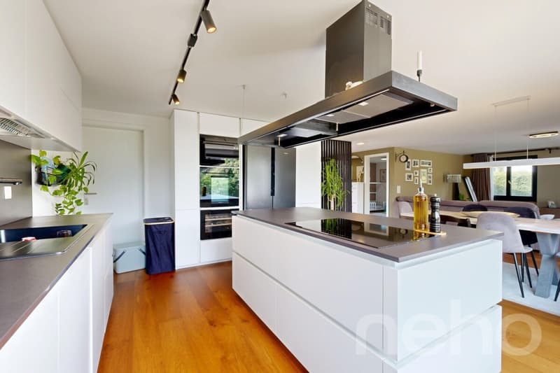 Maison unifamiliale modernisée avec cuisine design et jardin d'hiver (5)