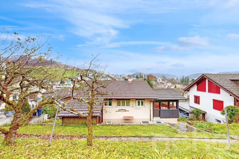 Detached house with garden and great potential in Gelterkinden (3)