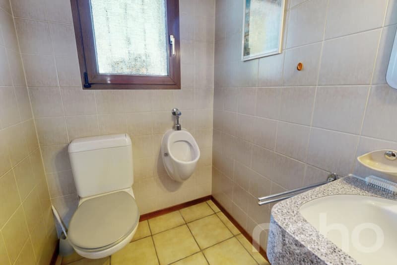 Spacious home with workshop/studio and sunny garden (9)