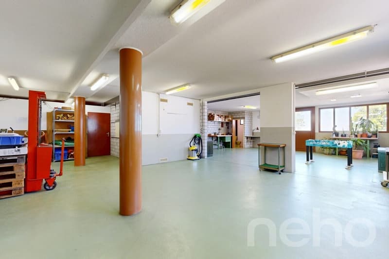 Spacious home with workshop/studio and sunny garden (10)