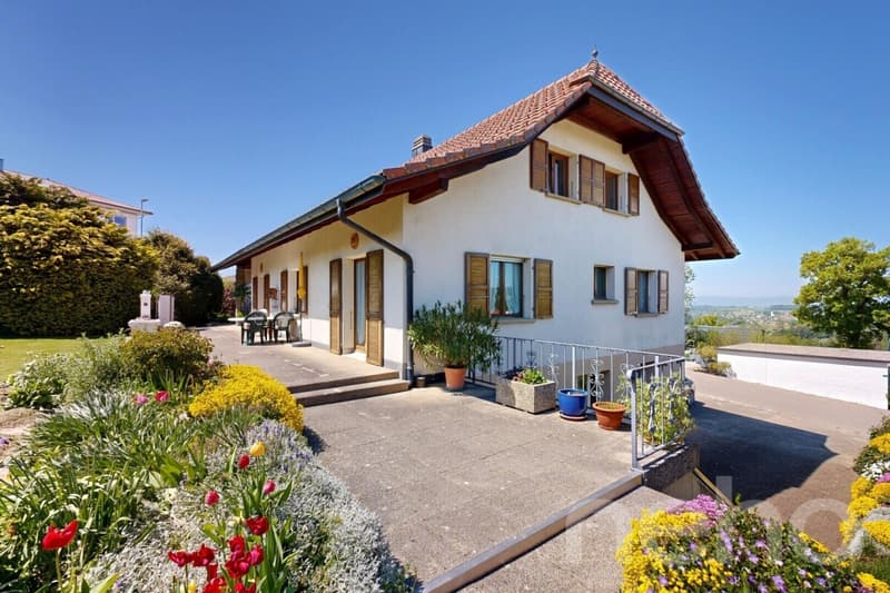 Spacious home with workshop/studio and sunny garden (12)