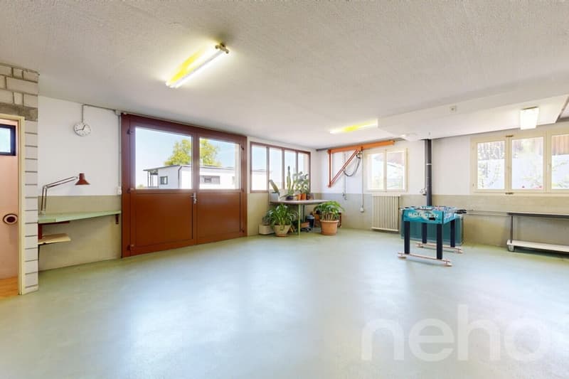 Spacious home with workshop/studio and sunny garden (11)
