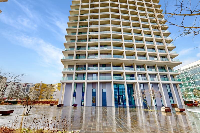 Appartement moderne 2.5 pièces avec flair skyline et vue panoramique (9)