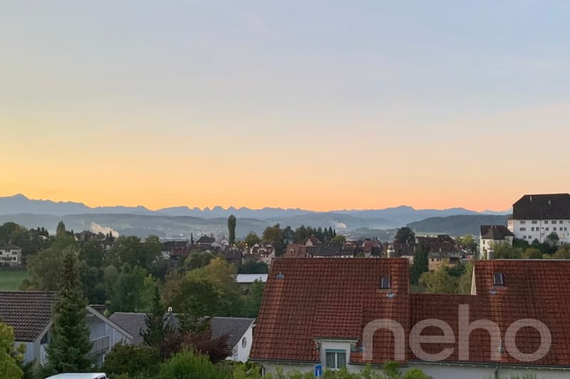 Moderne 5.5-Zi.-Wohnung mit Weitsicht und Balkon - Wil SG (4)