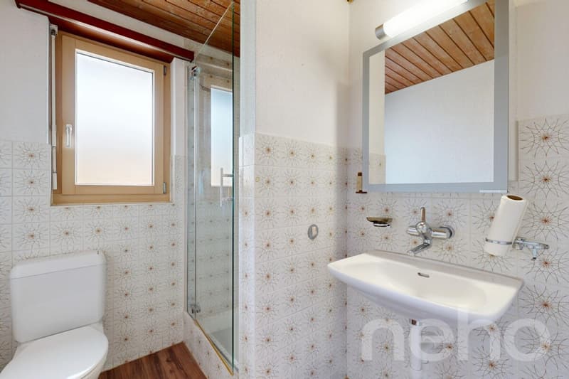7.5 Zimmerhaus mit Einliegeroption und viel Platz (8)