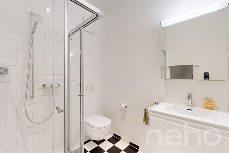 Magnificent 5.5-room apartment with unobstructed views of the countryside (5)