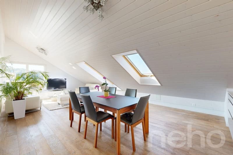 Magnificent 5.5-room apartment with unobstructed views of the countryside (3)