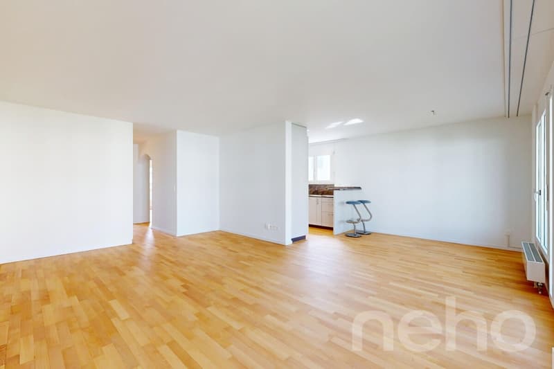 Appartement rénové récemment dans le centre-ville (5)
