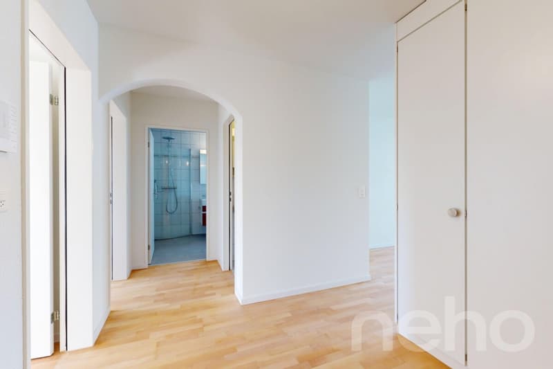 Appartement rénové récemment dans le centre-ville (10)