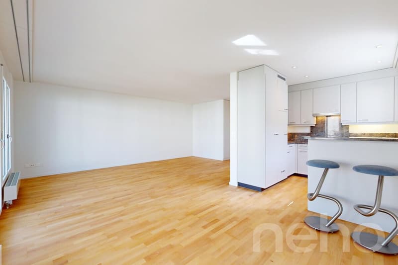 Appartement rénové récemment dans le centre-ville (4)
