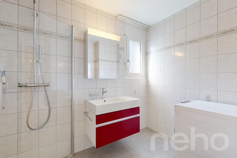 Appartement rénové récemment dans le centre-ville (9)