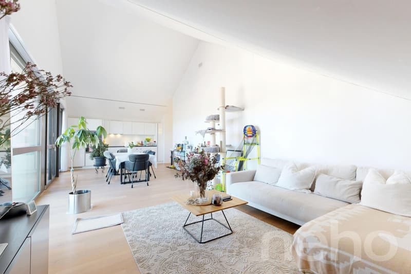 Appartement 3.5 pièces lumineux à Oberlunkhofen (2)
