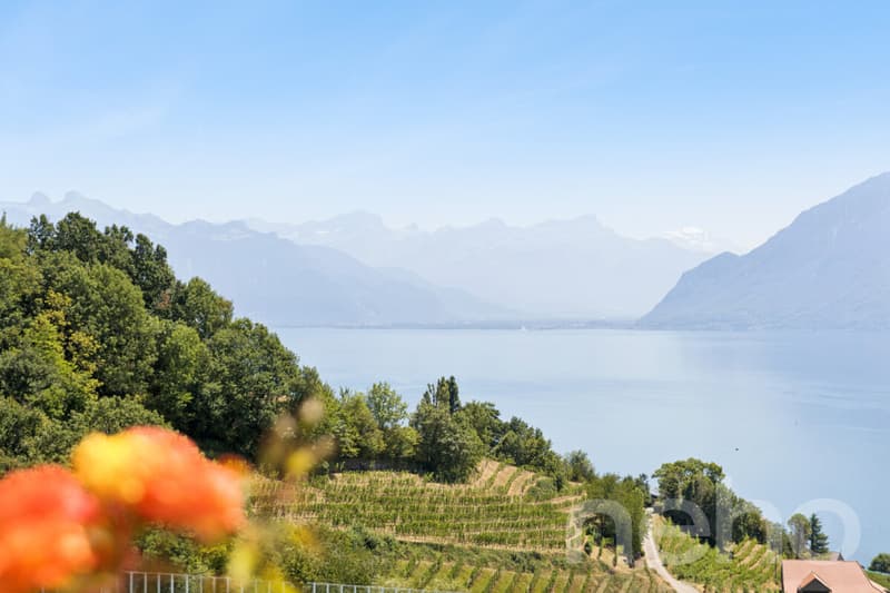 Entre Lac et vignes : une propriété rare à Grandvaux (11)
