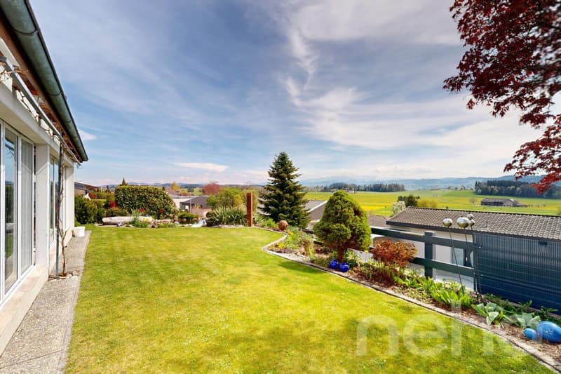 Living with a unique view? Your new home in Zuzwil (10)