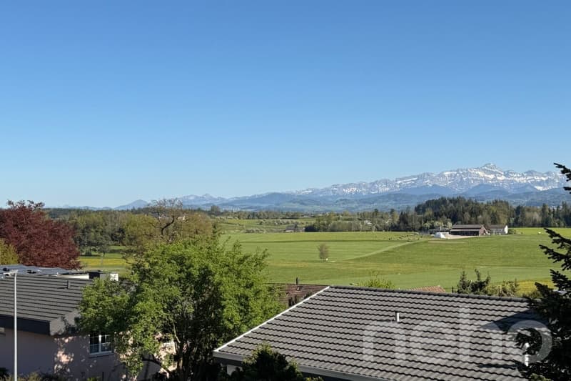 Living with a unique view? Your new home in Zuzwil (11)
