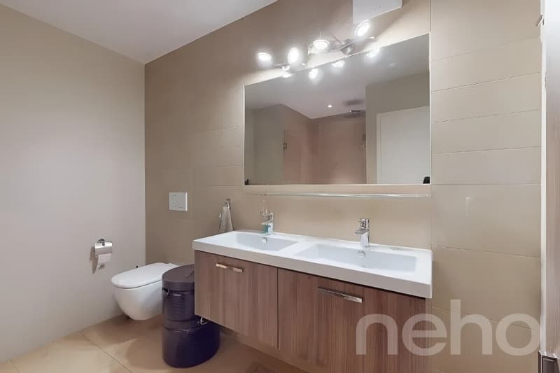 Ampio duplex con soppalco e due terrazze (7)