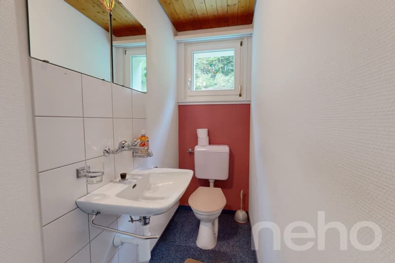 6.5-room single-family house in a natural location at the foot of the Säntis (8)