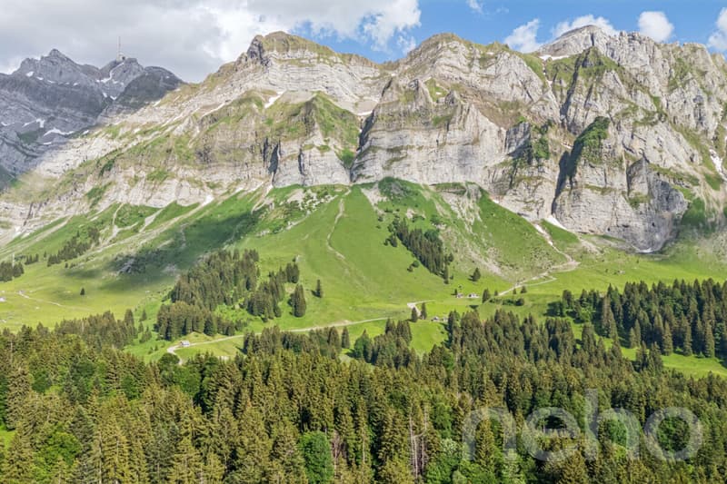 6.5-room single-family house in a natural location at the foot of the Säntis (9)