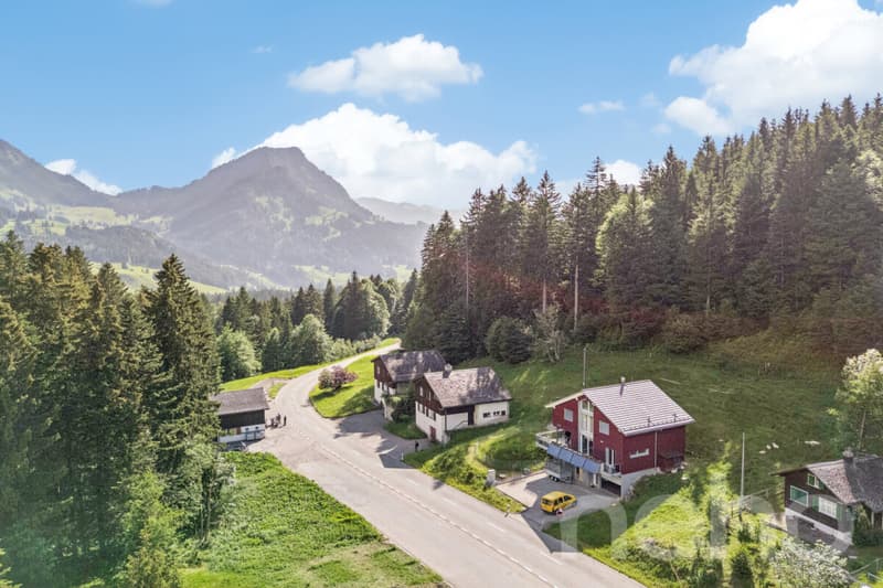 6.5-room single-family house in a natural location at the foot of the Säntis (2)