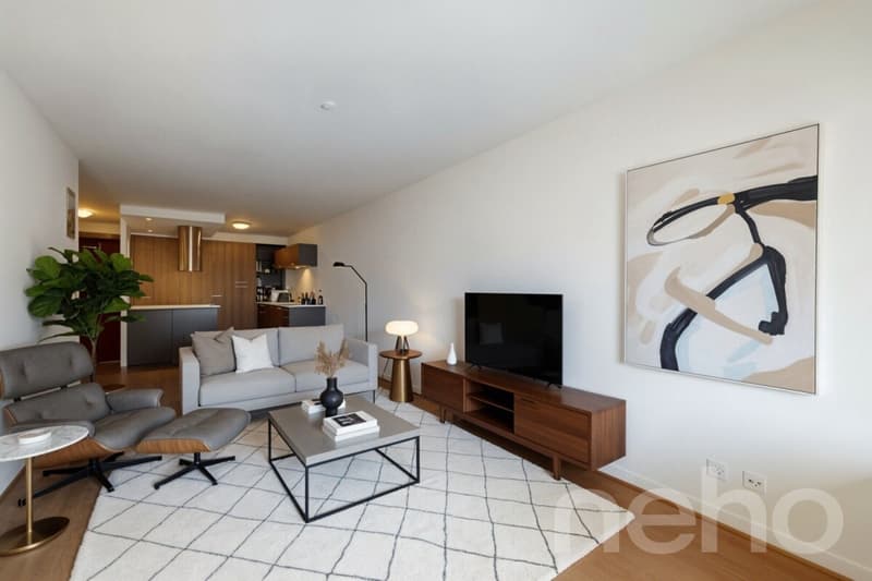appartement contemporain proche centre-ville (2)