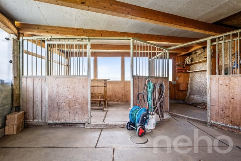 Living in a roundhouse. Architecture, nature, and tranquility in Neuheim (10)