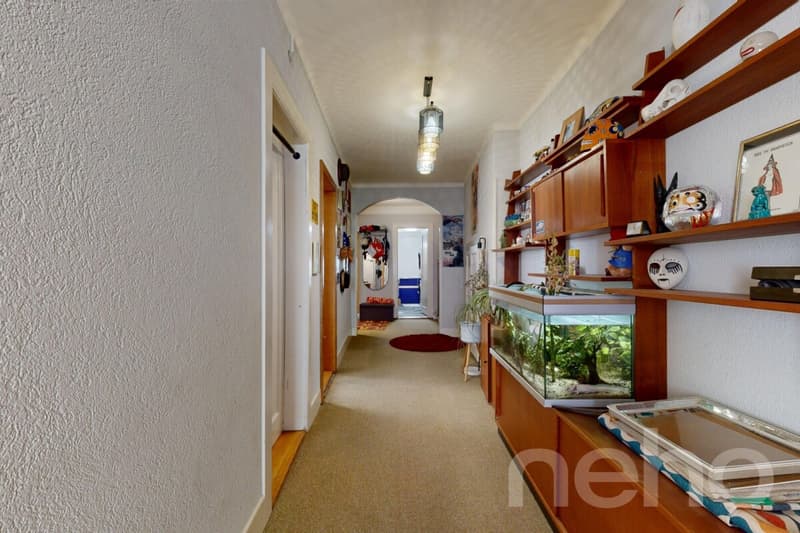 Mixed-use building 2 businesses + 3.5 + 8.5 in duplex (12)