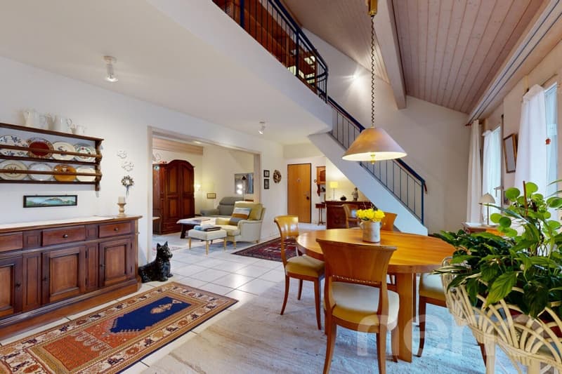 Exclusive attic maisonette with large terrace (3)