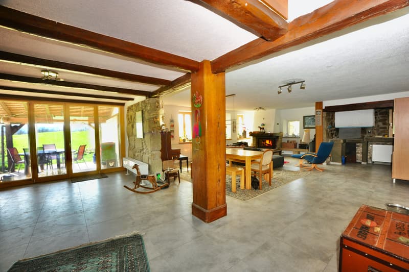 Spacious triplex with terrace, garden and indoor pool (3)