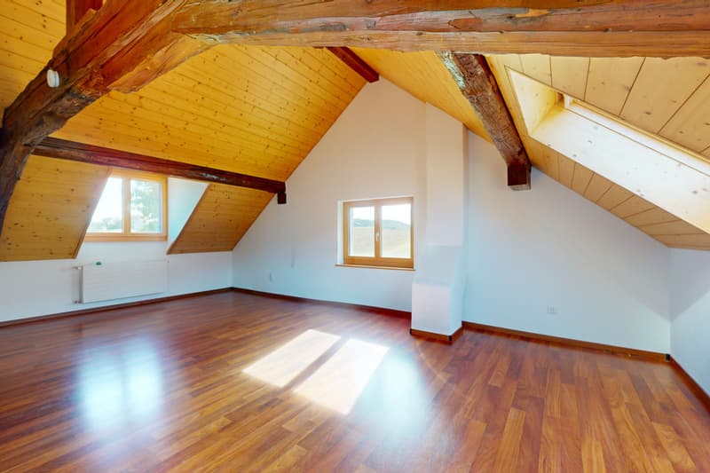 Spacious triplex with terrace, garden and indoor pool (12)