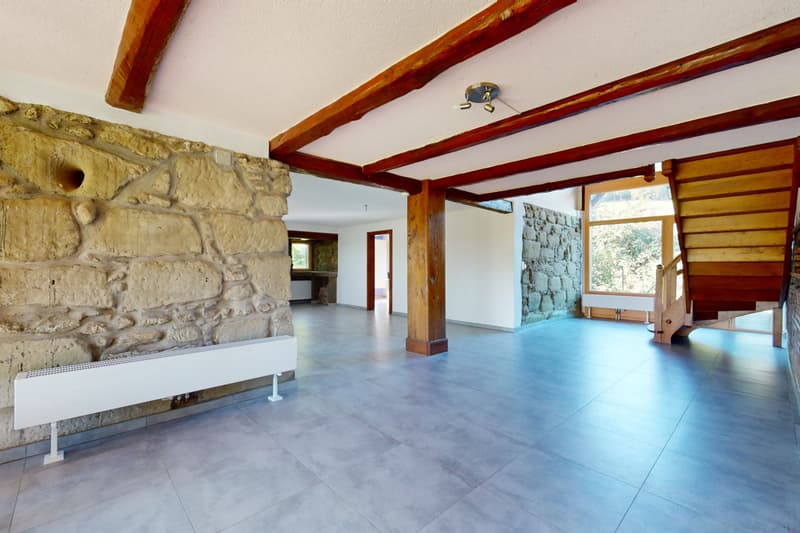 Spacious triplex with terrace, garden and indoor pool (8)
